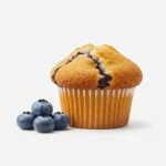 Blueberry Muﬀin